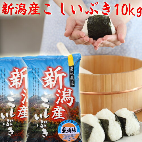 新米 令和5年 新潟産 こしいぶき 10kg 送料無料 5kg×2袋 無洗米 10キロ 新潟米 こしいぶき 無洗米 新潟県産 米 安いお米 お取り寄せ おいしいお米 美味しいお米 新潟 新潟産