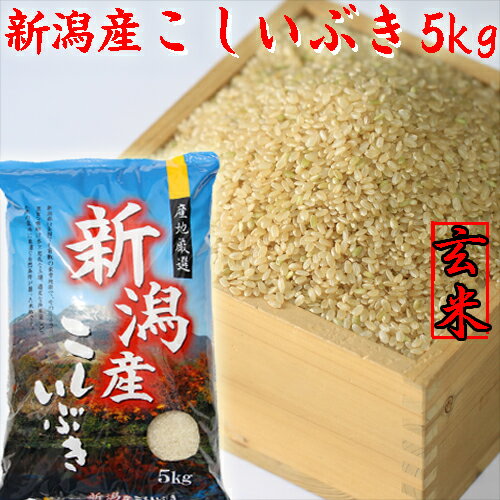 米 玄米 5kg 令和5年産 新潟県産こしいぶき 新潟産 新