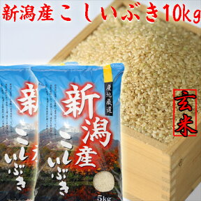 新米 令和5年 新潟産 こしいぶき 玄米 10kg 送料無料 5kg×2個 げんまい 新潟米 玄米 10キロ おいしいお米 新潟 米 ギフト 新潟産 げんまい 贈り物 プレゼント