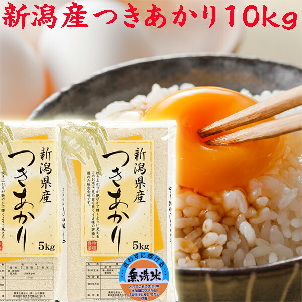 新米 令和5年 新潟産 つきあかり 無洗米 10キロ 10kg 5kg 2袋 送料無料 新潟米 つきあかり 新潟県産 無洗米 大人気米 無洗米10キロ お米安いお米 お取り寄せ おいしいお米 美味しいお米