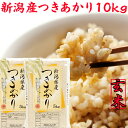 新米 令和5年 新潟県産 つきあかり 玄米 10kg 送料無料 5kg×2袋 新潟米 10kg げんまい 新潟産 玄米 お米 つきあかり 新潟県産 ブランド米 お米 こめ おこめ 安いお米 お取り寄せ おいしいお米 美味しいお米 美味しい おいしい 新潟 米