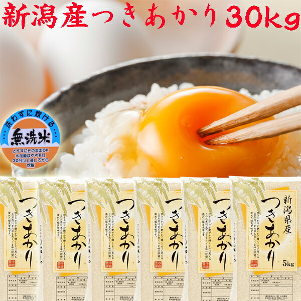 令和5年 新潟産 つきあかり 5kg×6袋 新潟県産お米 無洗米 30kg 送料無料 新潟県産 つきあかり 令和5年 30kg 令和5年産 新潟米 30kg 無洗米 洗わなくて良い米洗わなくて良い米 30キロ 米 お米 お取り寄せ 美味しい米 おいしいお米 美味しいごはん こめ お米 内祝い お返し