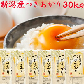 新米 令和5年 新潟県産 つきあかり 30kg 送料無料 白米 精米 新潟米 つきあかり 30kg 5kg×6袋 新潟県 小出農場 お米 安いお米 お取り寄せ おいしいお米 美味しいお米 新潟 米