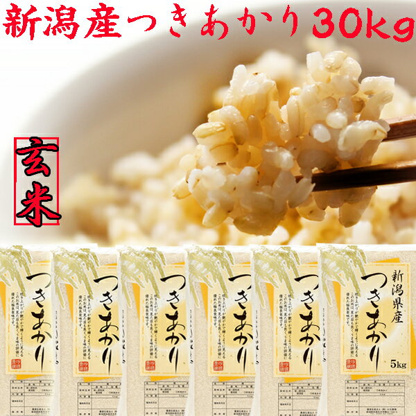 新米 令和5年 新潟産 つきあかり 玄米 30kg 5kg×6袋 送料無料 新潟米 30kg 玄米 新潟産 つきあかり 30kg げんまい 新潟県産 お米 玄米30kg 安いお米 お取り寄せ おいしいお米 美味しいお米 新潟