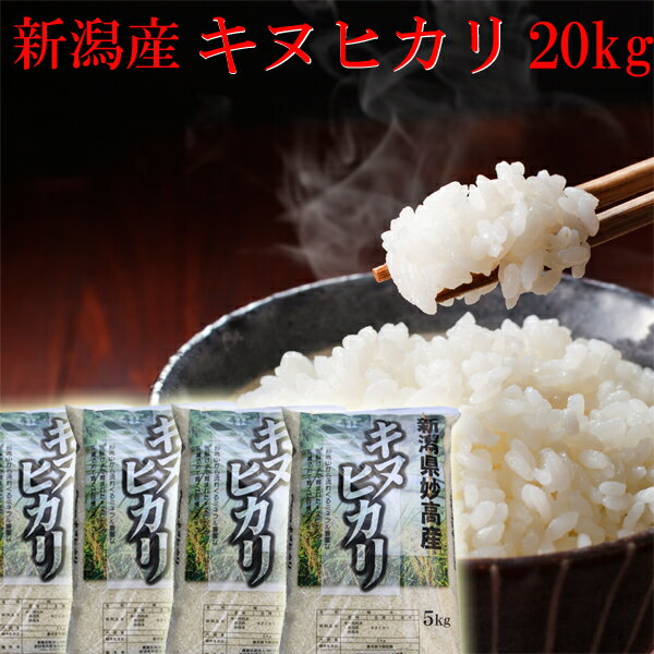新潟県産【キヌヒカリ 20kg】新潟県産 米 直送米令和2年 白米・分づき[新米/令和2年/2020年産/安いお米/お取り寄せ/おいしいお米/美味しいお米/新潟/米/新潟産] 米 お米 おこめ コメ ギフト 贈り物 プレゼント
