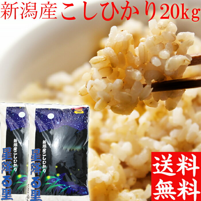 楽天こしひかりの郷　小出農場新米 令和5年 新潟産 コシヒカリ 玄米 送料無料 20kg 10kg×2袋 新潟米 こしひかり 玄米 20キロ 送料無料 プレゼント入り お得 米 お米 おいしいお米 美味しいお米 お取り寄せ 新潟産 新潟県 新潟 こしひかり