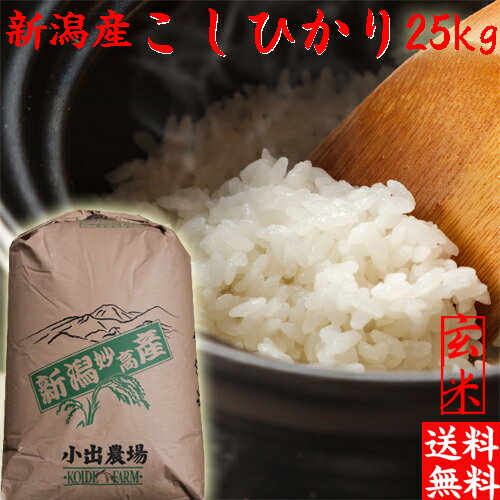 新米 令和5年 新潟産 こしひかり 玄米 送料無料 新潟 こしひかり お米 25kg 新潟産 お得米 25キロ 新潟産 白米 25kg おいしいお米 美味しいお米 お取り寄せ 新潟産 新潟県産 新潟県米 産地直送