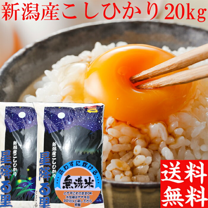 新米 令和5年 新潟産 コシヒカリ 無洗米 20kg 送料無料 米 10kg×2袋 米20キロ 新潟産 新潟 こしひかり 20キロ 新潟産 米 ギフト お米 新潟産 お取り寄せ 白米 美味しいお米 美味しい おいしい 農家直送 贈り物 新潟 米 ギフト