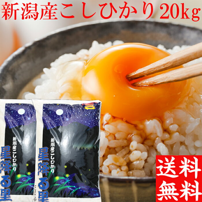 新米 令和5年 新潟産 米 コシヒカリ 20kg 10kg×2袋 送料無料 プレゼント付き 新潟 こしひかり 新潟米 白米 20kg 米 まとめ買い 分搗き 美味しい 新潟県 産地直送