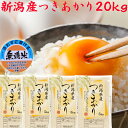 米 無洗米 20kg 令和6年 新潟産 つきあかり 無洗米 20kg 5kg×4袋 送料無料 新潟米 つきあかり 新潟県産 無洗米 大人気米 無洗米20キロ 新...
