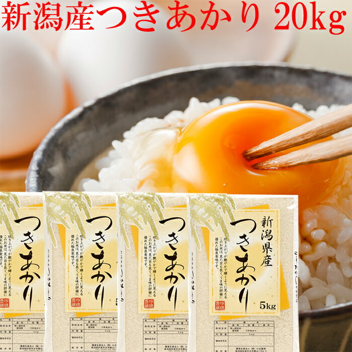 新米 20kg 白米 令和5年 新潟産 つきあかり 米 20kg 送料無料 5kg×4袋 プレゼント入り 新潟県産 白米 20kg 新潟米 つきあかり お米 こめ おこめ お米20キロ ブランド米 分づき米 お取り寄せ 米20キロ 美味しいごはん 産直 美味しい米 おいしいお米 農家直送 産地直送