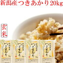 新米 令和5年 新潟県産 つきあかり 玄米 20kg 送料無料 5kg×4袋 新潟米 20kg げんまい 新潟産 玄米 お米 つきあかり 新潟県産 ブランド米 お米 こめ おこめ 安いお米 お取り寄せ おいしいお米 美味しいお米 美味しい おいしい 新潟 米