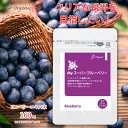 【25日20時〜4時間限定クーポン配布】Myスーパーブルーベリー サプリメント カプセル 31カプセル入り 目の健康 疲れ目 アイケア