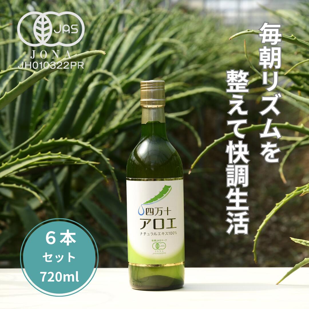 �������������ʥ����륨����100�� 720ml��6��ͭ�� ����̵�� Ĳ�� ͭ��JAS �������˥å� ������ ���������� ������������ ����...