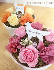 送料無料 プリザーブドフラワー「Animal Garden」フラワーアレンジメント 犬 メモリアル お悔み お供え ペット ペットロス プレゼント 母の日 ギフト 動物 お花 女性 贈り物 プリザ お 祝いの日 猫 うさぎ誕生日プレゼント バレンタイン ホワイトデー