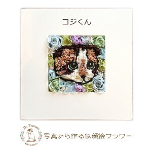 送料無料「マイペットフラワー壁掛け」プリザーブドフラワー 写真から作るお花 名前入り5文字まで お供え ペット 供養 花 ねこ プレゼント ギフト 母の日 NHK おはよう日本 まちかど情報室 犬 猫 結婚祝い うさぎ メモリアル お悔み バレンタインデー ホワイトデー