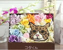 「虹の橋 BOX」ペット お悔やみ お供え プリザーブドフラワー 四十九日 メモリアル メモリアルグッズ 虹の橋 初盆 お供え花 仏花 お悔やみ 供養 動物 犬 猫 うさぎ 小動物 花 枯れないお花 送料無料