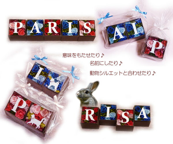 アルファベット 母の日 プリザーブドフラワー おしゃれ 開店祝い 退職祝い お返し 卒業 お礼 父の日「花」演出 結婚記念日 ウェルカムボード 内祝い プレゼント 誕生日Gift お中元 ホワイトデー お返しブリザーブド バレンタイン格安通販　バレンタイン　人気　ランキング