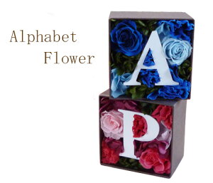 アルファベット 母の日 プリザーブドフラワー おしゃれ 開店祝い 退職祝い お返し 卒業 お礼 父の日「花」演出 結婚記念日 ウェルカムボード 内祝い プレゼント 誕生日Gift お中元 ホワイトデー お返しブリザーブド バレンタイン