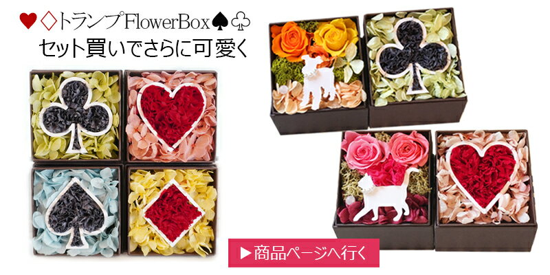 Mini Animal Box プリザーブドフラワー ボックス ギフト 母の日 卒業祝い プレゼント交換 誕生日プレゼント 母の日花 お供え ペット 仏 花 仏壇 お悔やみ 法事にも フラワーアレンジメント 誕生日 お花 花 カーネーション プレゼント お返し ボックスフラワー お礼 敬老の ... Mini Animal Box プリザーブドフラワー ボックス ギフト 母の日 卒業祝い プレゼント交換 誕生日プレゼント 母の日花 お供え ペット 仏 花 仏壇 お悔やみ 法事にも フラワーアレンジメント 誕生日 お花 花 カーネーション プレゼント お返し ボックスフラワー お礼 敬老の ...