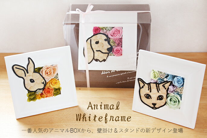 送料無料「アニマルフラワー壁掛け」プリザーブドフラワー ケース付き 母の日 プレゼント 誕生日 メモリアル ペット メモリアルグッズ 内祝い ギフト お花 動物 犬 ねこ インテリア ケース入り 結婚祝い お供え お悔み 母の日 花束贈呈 バレンタイン ホワイトデー