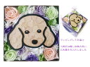 「お悔やみBOX」 プリザーブドフラワー 母の日 ギフト ボックスフラワーアレンジメント 枯れない お花 メモリアル お供え お供え花 ペット メモリアルグッズ...