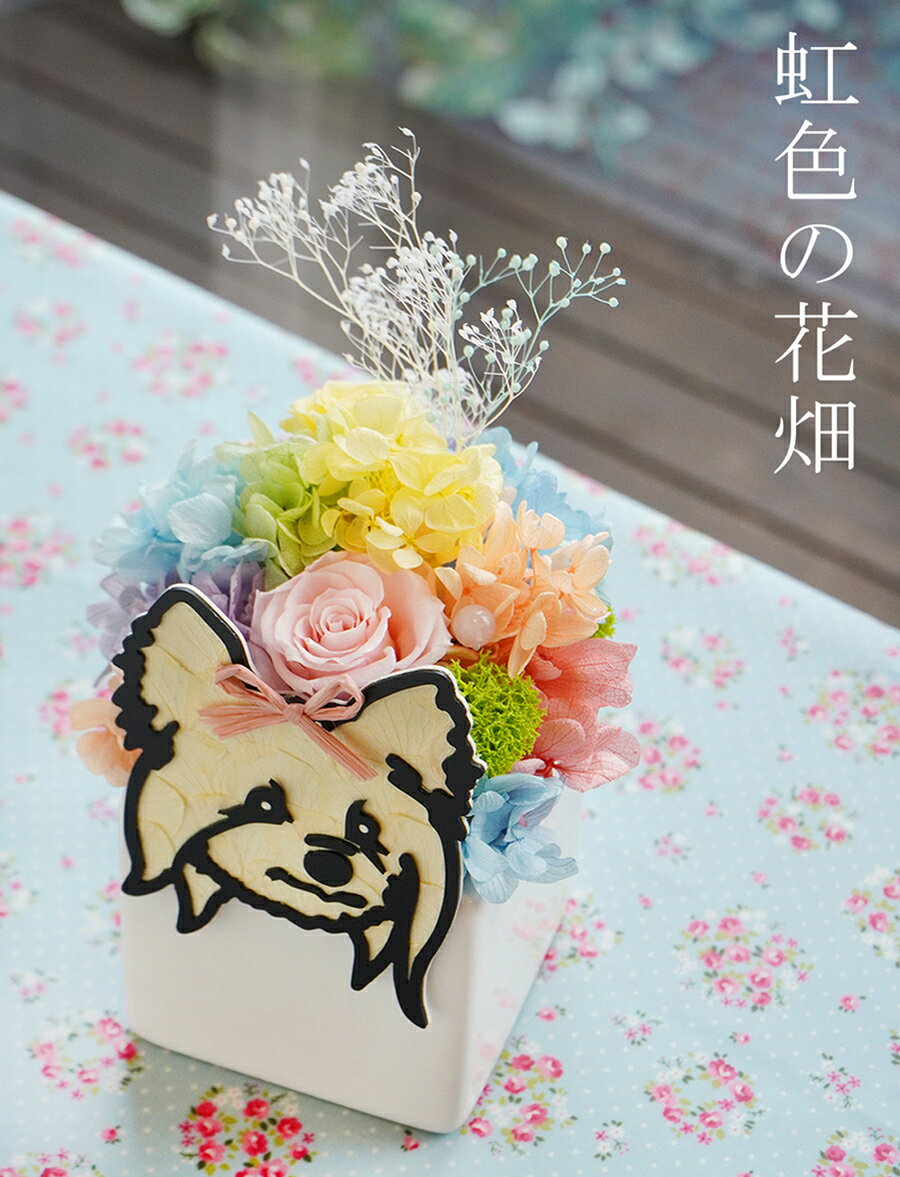 送料無料 プリザーブドフラワー 「虹色の花畑」枯れない お花 犬 猫 ウサギ プレゼント メモリアル インテリア 小物 置物 フラワーアレンジ 虹の橋 誕生日 ギフト 開店祝い 贈り物 フラワーボックス オーナーズグッズ お悔み お供え 虹の雲　レインボー