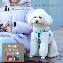 ◆送料無料◆ 幾何学模様ハーネスリードセット ポリエステル 牽引ロープ 犬用 ドッグ ペット 中型犬 大型犬 ハーネス リード セット カラフル 負担が少ない ...