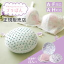 ブラぽん プレミアムブラジャーネット PRBR7023 PRBR7024