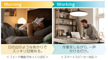 【在庫限り 特価品】LEDペンダント hue対応 BP17002 |ランプ別売 おしゃれ 照明 ペンダント セード スタイリッシュ シンプル モダン リビング ダイニング 居間 マット 高さ調節 お買い得 アウトレット 在庫処分 セール