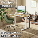 FlexiSpot フレキシスポット 電動昇降デスク 電動昇降スタンディングデスク E9PROB E9PROW メモリ機能 セーフティ機能 コの字型フレーム ワイヤレス充電 Qi 昇降範囲74-124cm 簡単組み立て 幅120cm 高さ調節 電動昇降 スタンドデスク 昇降式 テーブル 竹天板