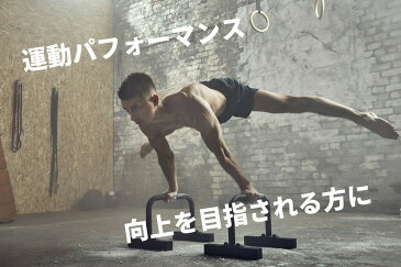 マイプロテイン 公式 【MyProtein】 L-カルニチン 250g　500食分【楽天海外直送】