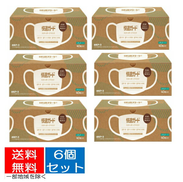 【送料込・まとめ買い×6個セット】白元アース 快適ガード スタンダード マスク レギュラーサイズ 40枚入（4902407581211）※無くなり次第終了のサムネイル