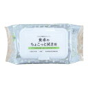【今だけお得!数量限定セール】服部製紙 地球の王様 NTA-1 食卓のちょこっと拭き用 80枚 ふた付き ウエットシート