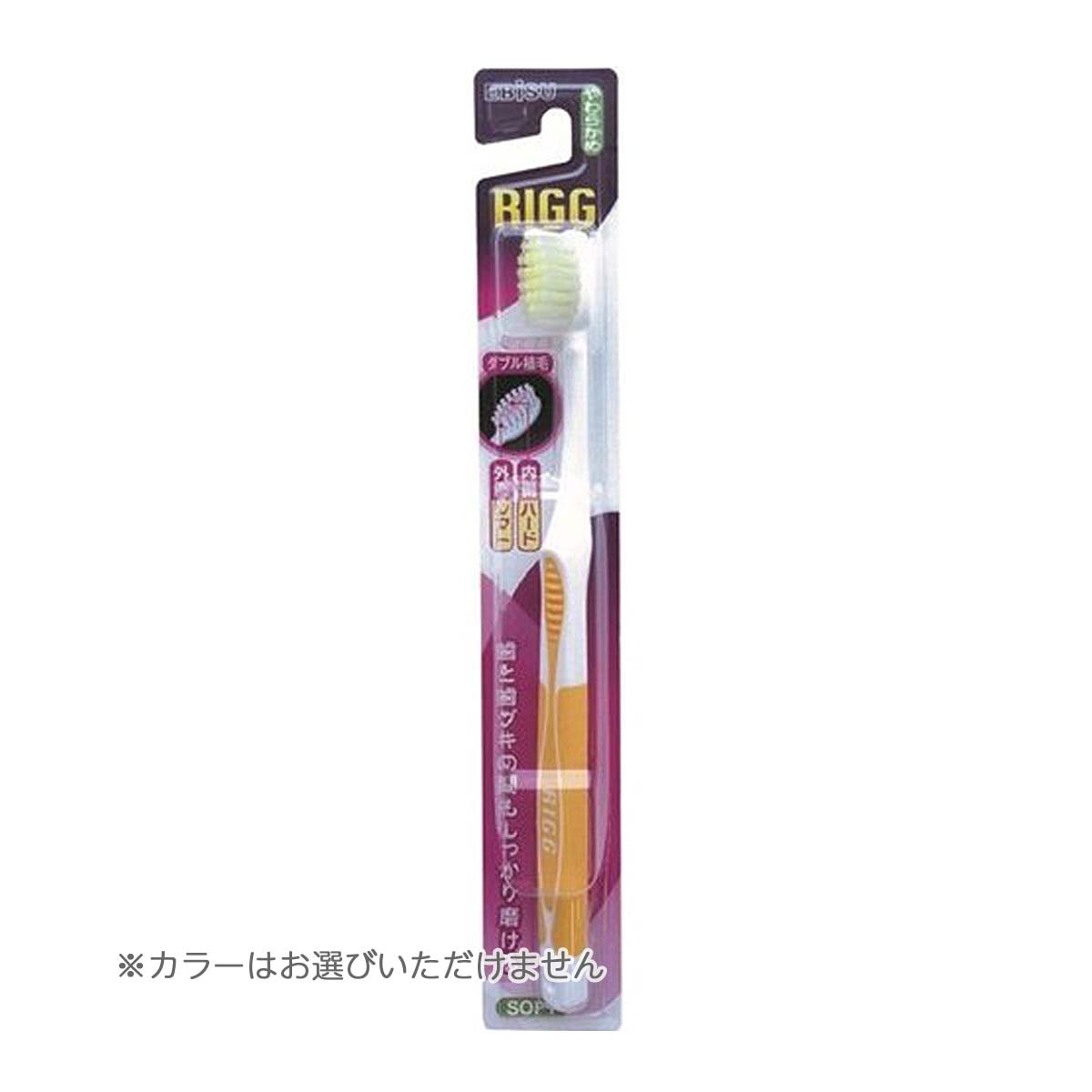 エビス RIGG リグ ハブラシ やわらか