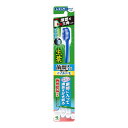 【今だけお得!数量限定セール】小林製薬 生葉 歯間に入るブラシ マイルド毛 レギュラー やわらかめ 歯ブラシ ※色は選べません◇