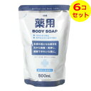 【送料込】 ヒューマンシステム CHS 薬用 ボディーソープ 500ml ×6個セット