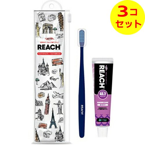 【配送おまかせ送料込】 リーチ トラベルセット 1セット ×3個セット