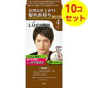 【送料込】 ルシード ワンプッシュケアカラー ライトブラウン ×10個セット