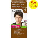 【送料込】 ルシード ワンプッシュケアカラー ライトブラウン ×5個セット