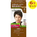 【送料込】 ルシード ワンプッシュケアカラー ライトブラウン ×6個セット