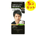 【送料込】 マンダム mandom LUCIDO(ルシード) ワンプッシュ ケアカラー アッシュブラウン ×5個セット