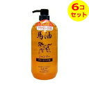 【送料込】 ジュン・コスメティック 馬油 シャンプー ダメージヘア用 1000ml ×6個セット