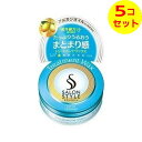 【送料込】 サロンスタイル ヘアワックス (トリートメント) 75g ×5個セット
