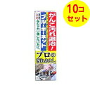 【送料込】 ブルーキ ブルーキーネット プロの汚れおとし 110g ×10個セット