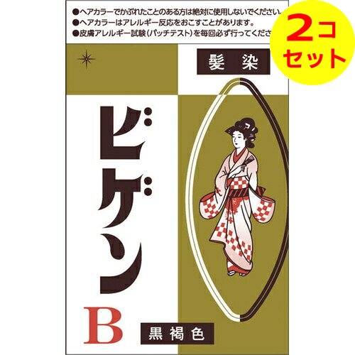 【配送おまかせ送料込】 ビゲン B 黒褐色 6g ×2個セット