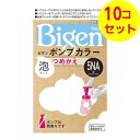 【送料込】 ホーユー ビゲン ポンプカラー つめかえ 5NA 深いナチュラリーブラウン 105ml ×10個セット