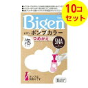 【送料込】 ホーユー ビゲン ポンプカラー つめかえ 5NA 深いナチュラリーブラウン 105ml ×10個セット