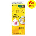 【送料込】 ホーユー シエロ ムースカラー 4M モカブラウン 白髪用 医薬部外品 ×6個セット