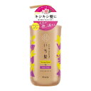 【今だけお得!数量限定セール】クラシエ いち髪 ダメージリペア&カラーケア シャンプー ポンプ 480ml◇